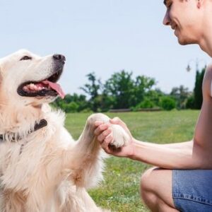 dog_store_photo_03-465x353