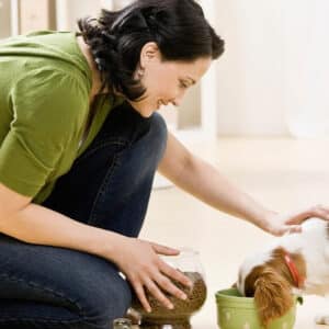 dog_store_photo_04
