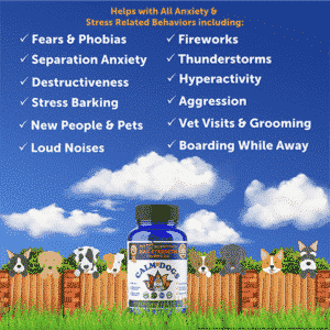 Best Dog Anxiety Supplement