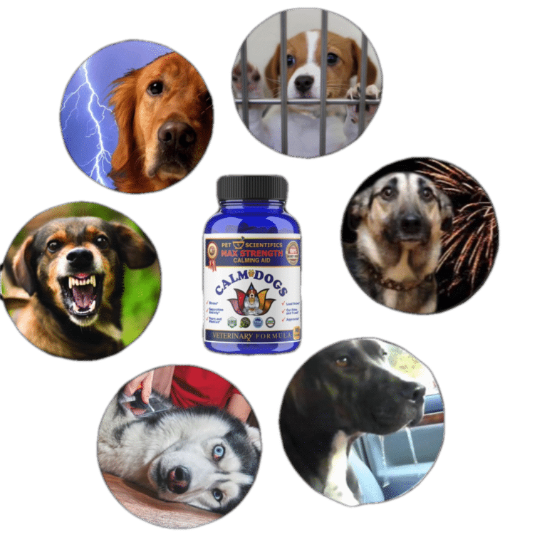 Dog Anxiety Supplement