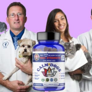 Anxiety calming aid for dogs