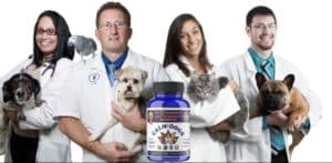 CALM DOGS® Is Veterinarian Recommended