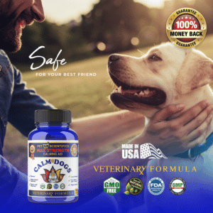 Anxiety Supplements For Dogs
