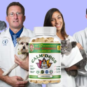 Dog anxiety aid