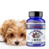 CALM DOGS Calming Aid for Dog Anxiety