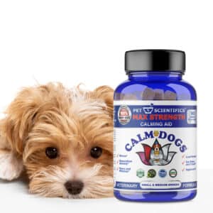 CALM DOGS Calming Aid for Dog Anxiety